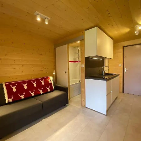 Calme Proche Centre Abondance, Balcon Sud, Casier A Skis, Parking - Fr-1-692-84 Daire *