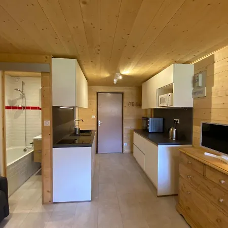 Calme Proche Centre Abondance, Balcon Sud, Casier A Skis, Parking - Fr-1-692-84 Daire Abondance